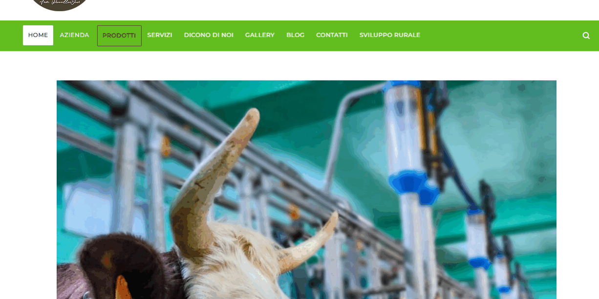 Siti-fatti-da-il-tuo-clic-locopafen.it